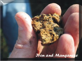 Iron and Manganese in Soil
